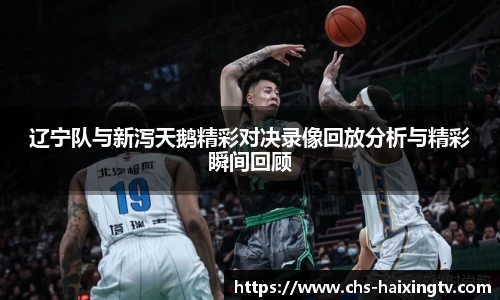 辽宁队与新泻天鹅精彩对决录像回放分析与精彩瞬间回顾